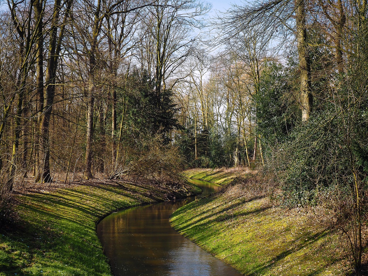 bach, forest, water, landscape, trees, nature, idyllic, quiet, flow, green, waters, local recreation, watercourse, riverbank, mood, silence, idyll, water surface, park, dusseldorf